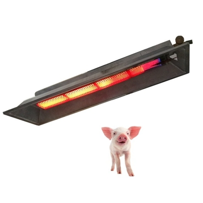 THD6806 Biogas Gas Brooder Heizung Wand Keramik katalytische Infrarotheizungen für Haus