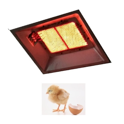 An der Wand befestigter Infrarot-Grubber-Heizung-keramischer Innenheizer für Vögel THD2608
