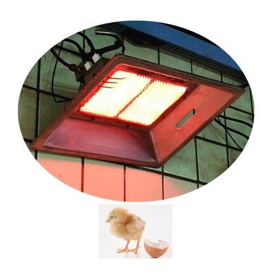 An der Wand befestigter Infrarot-Grubber-Heizung-keramischer Innenheizer für Vögel THD2608
