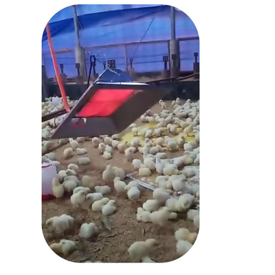 Chicken Farm Geflügelbrüter Heizung 4 Modell für Schweine-Küken-Schuppen Safty