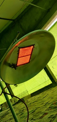 Energiesparende Geflügelbrüter Heizung LPG NG Biogas Gas Geflügelbrüter Ausrüstung