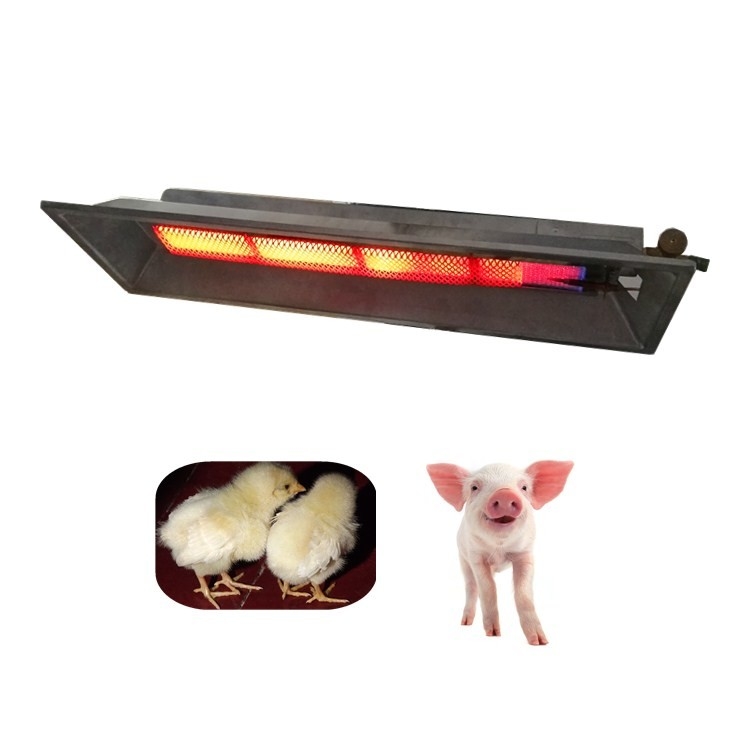 Erdgas-keramischer Infrarotbrutkasten Heater For Garage Or Workshop 4000pa